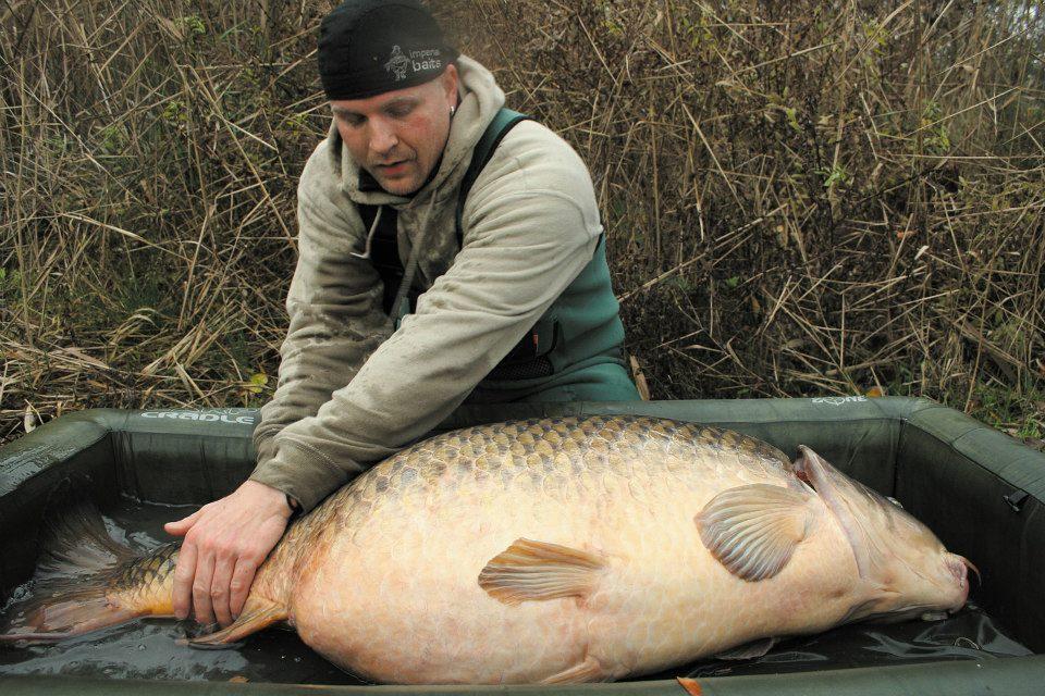 florian tanasa - 563434300497913412479790359126n.jpg